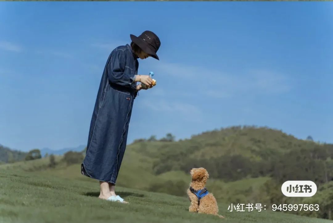 莲都区|收好这份攻略！不负晴天，丽水大草坪等你来撒欢~