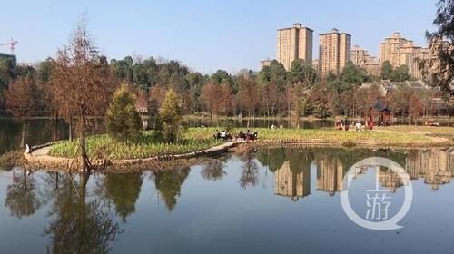 春节好去处丨春光灿烂 秀湖寻芳