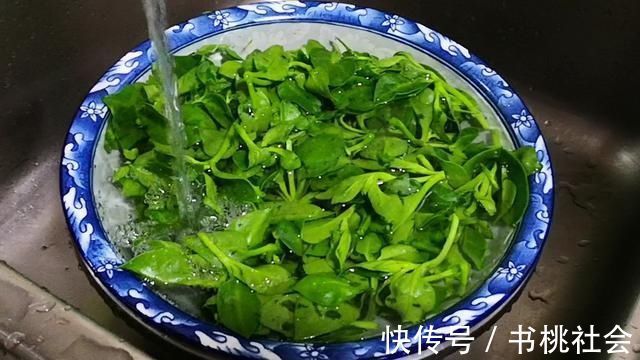 这菜叶子是个宝,可惜好多人当草,经常上火多吃点,凉拌吃最香