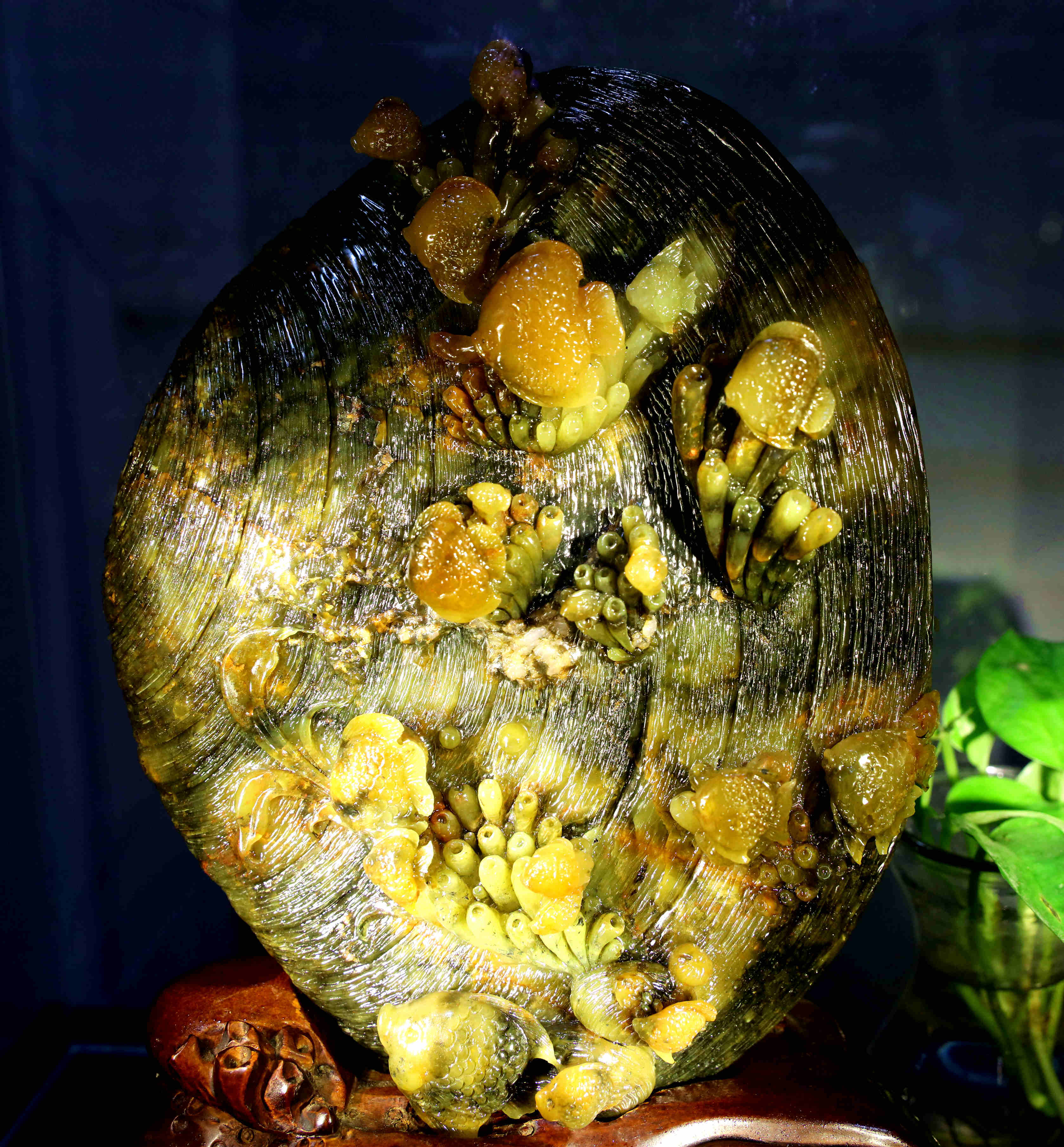 桓仁|笃情石头做“顽仙”