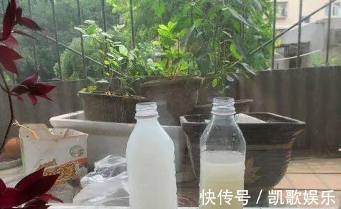 养花浇水，4个错别犯，不然养啥花都黄叶、烂根，学会一生受用