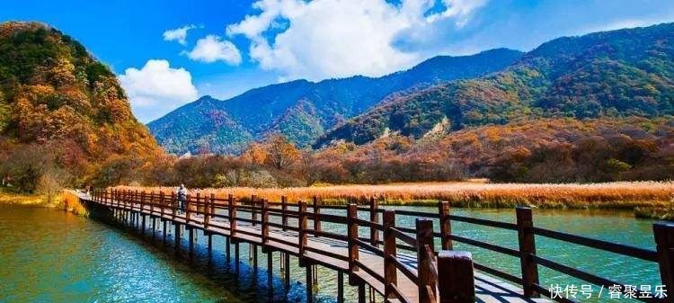 美丽|秋光乍泄 美景成诗 秋日的神农架 一定会惊艳到你