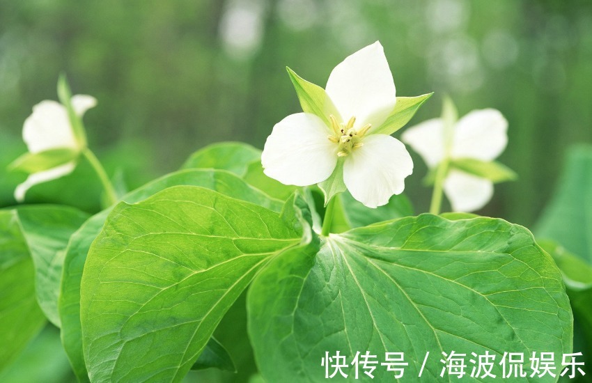 财神|家中有这三个生肖，家庭和谐，财神喜爱，子女孝顺，生活幸福