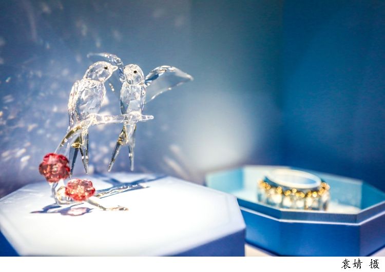 展台$进博图集│最新最潮云集，首发首秀扎堆，在进博会与“美好生活”相遇