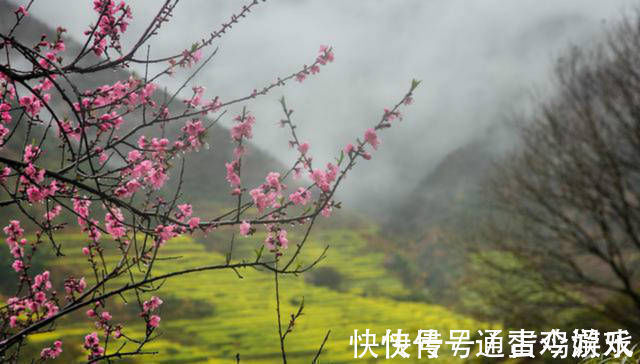 张籍$张籍很美的一首诗,短短的28个字,美得犹如一幅淡淡的山水画!