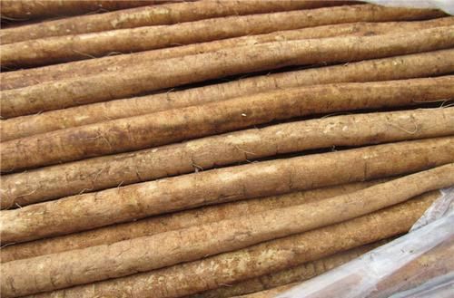 通便|总是便秘、排便困难？试试多吃5种食物，或能润肠通便，身体变轻松