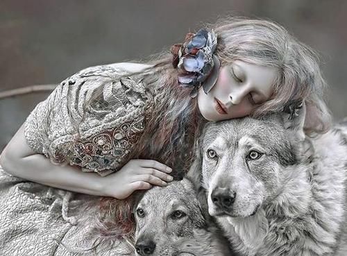 解惑|如此精美的手作,却不知道是什么工艺,求网友们解惑