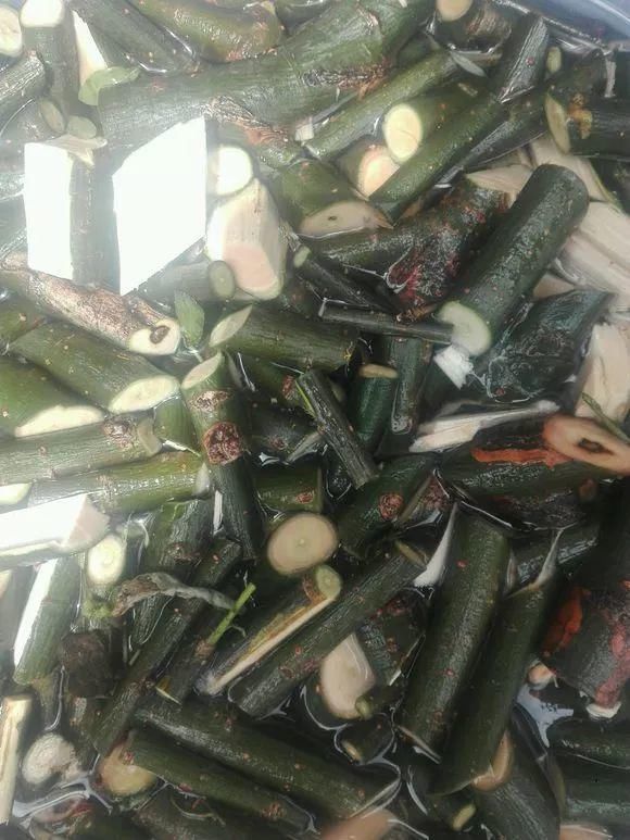 养花人|花盆里插1根筷子,解决了养花人的大难题,快试试看!