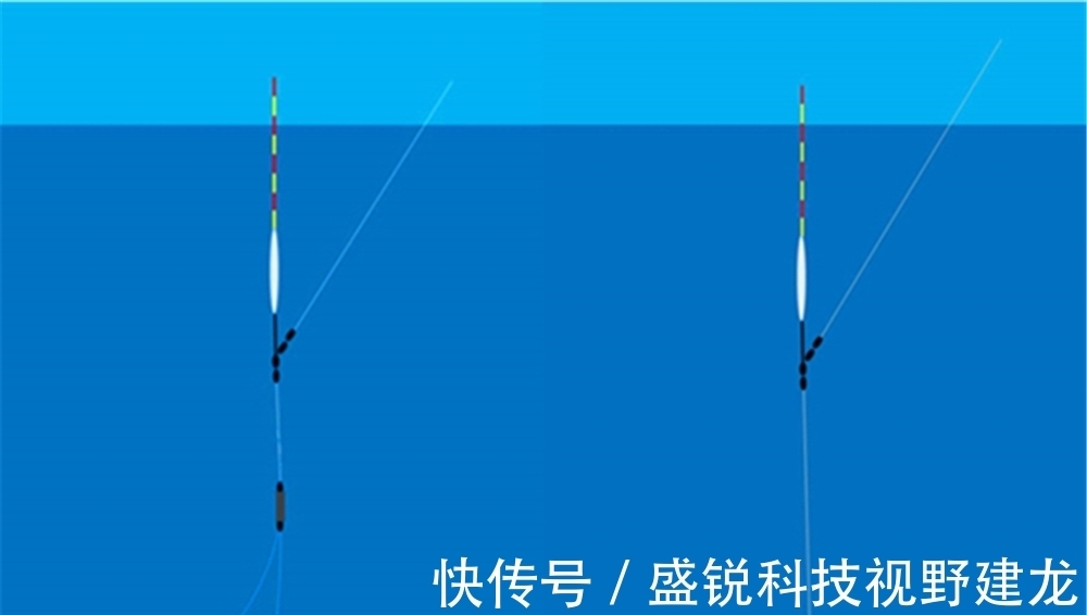 子线|钩、饵重量与调、钓目的关系，不了解这些，是知其然不知其所以然