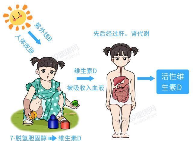 x型腿|原来喝骨头汤不补钙？教你正确的4个补钙方法，附6种高钙蔬菜