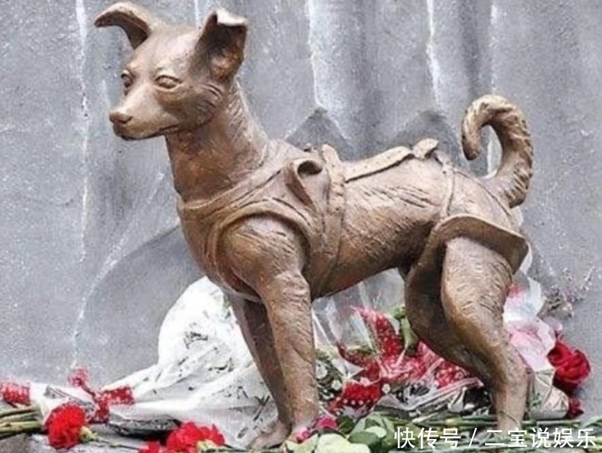 苏联曾把一只3岁狗狗送去太空,63年过去,它还在地球轨道流浪