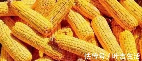 玉米面是粗粮,还是细粮?营养师:糖尿病人吃玉米面,别犯三个错