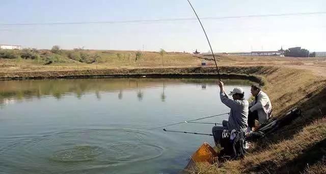 网工|钓鱼一定要远离这7个位置,逢钓必空军