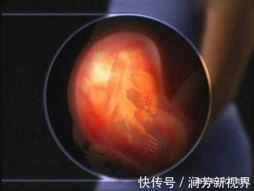 酒精|孕妇怀孕7个月遭胎停,只因一顿年夜饭,医生斥责家属太无知