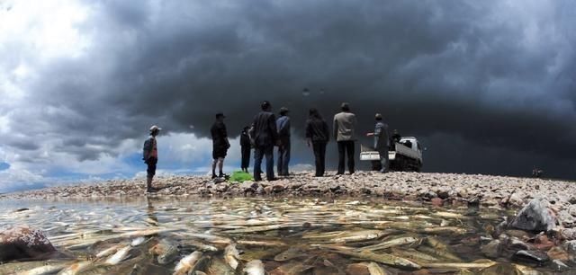 水电站|青海湖的“救命鱼”：3年吃掉7万吨，湟鱼后继无鱼？