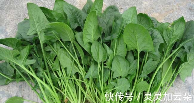 香味|70年代最让人怀念的几种食物，口感以及香味现在已经很难吃到！