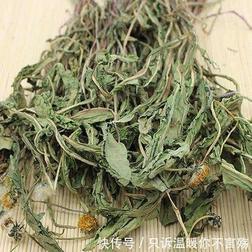 蒲公英|“万草之王”蒲公英太牛了,和它一配便秘口臭没了,肤白貌美了