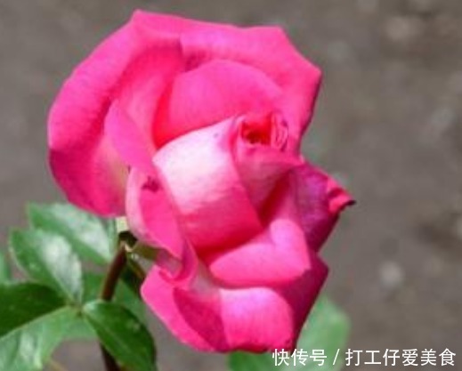 “命苦”不是天生的，有3点要注意，人生才能一帆风顺福运满满！