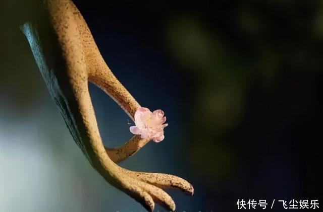 南怀瑾的点醒:人生有三道绕不开的坎,很值得警惕