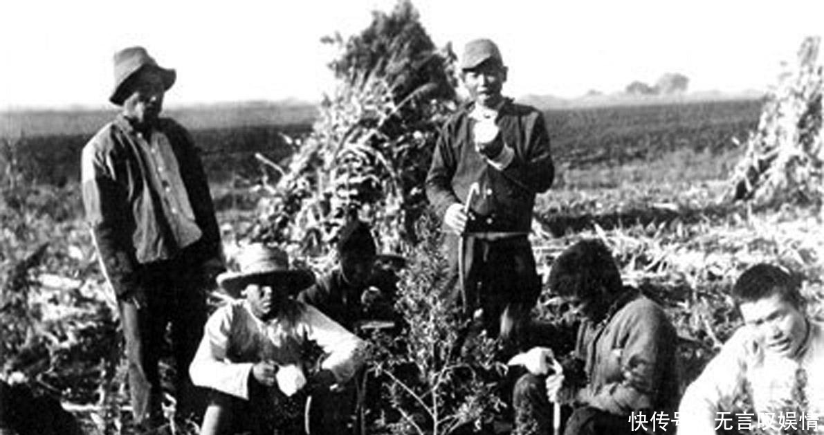 起底|起底日本开拓团:一群不穿军服的侵略者,日本帝国主义的兵源之一