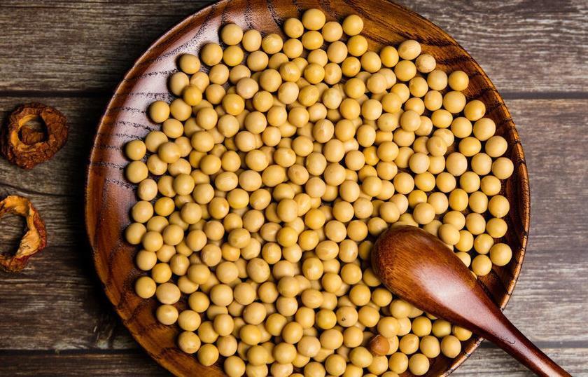 黄豆|三种低成本,不费事,不费时的花肥,轻松养好花