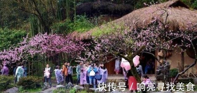 捕鱼$《桃花源记》是人间仙境吗里面的3个细节,令人细思极恐!