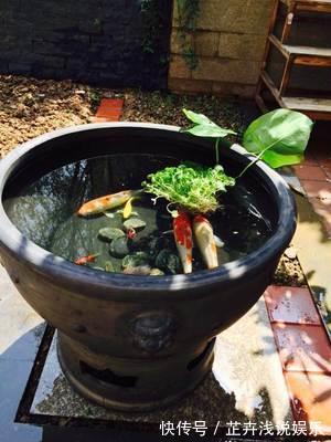 杀虫|家里有小院子,三种花草不要种,容易泛滥招蛇虫,很多人都害怕