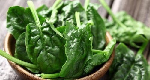 菠菜|中年人易便秘,坚持吃的食物,活血化瘀,排毒消脂,谁吃谁受益