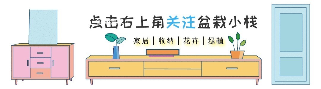 金钱树|不管穷人富人，客厅建议摆放“3种花”，不贵而且寓意好