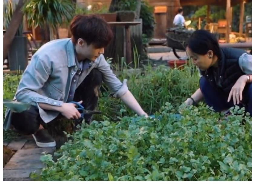 八佰|《向往5》隐藏很深的嘉宾,总票房86亿制片人,却跟晚辈挤车斗