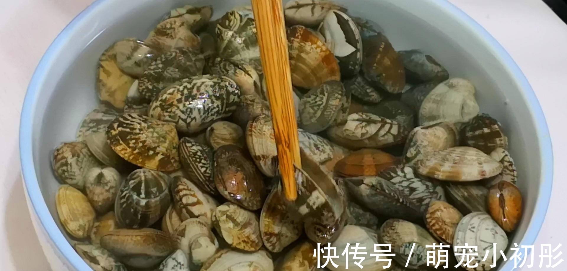 炒花蛤,到底要不要焯水?教你正确做法,花蛤鲜嫩无腥味,特鲜