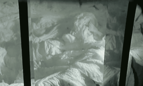 江小丧 丝袜为什么没有缝?连裤丝袜又是怎么把两只丝袜拼接到一起的?
