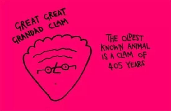 真正的朋友#你不知道的26条趣味冷知识:说脏话可以缓解疼痛