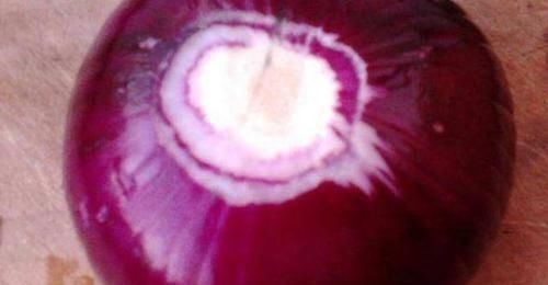 海带|高血压“最怕”的4种食物,平时经常吃,血压悄悄降下来