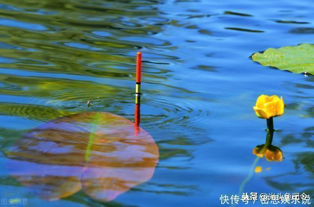 浮漂|鲫鱼都是送漂？谣言！这7种漂相都是鲫鱼吃钩，看你错过多少鱼