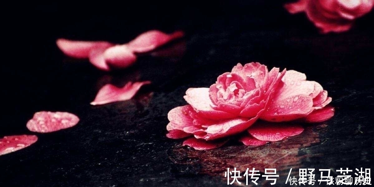 花儿$李煜一首《相见欢》,道尽人生痛苦与苍凉,字字带泪