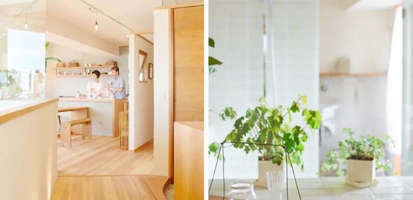 装置物架|这套住宅暗藏心机,两人一猫蜗居65㎡,同是小户型却有2倍宽敞