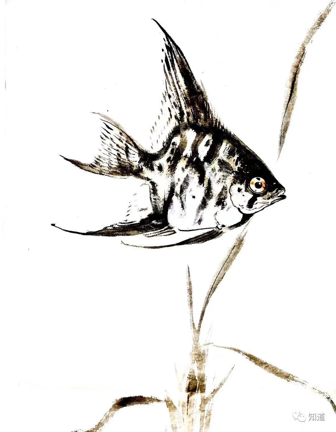 微信朋友圈|一位画家辛丑年的微信朋友圈(3)