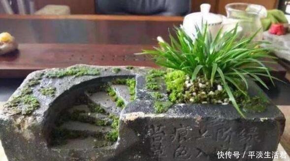 这些破烂不要扔，做成“小花盆”，个性又漂亮，比买的强“百倍”！