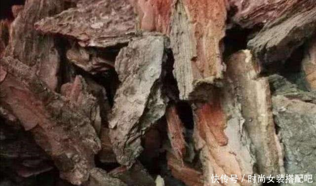 家庭养花，浇水太多容易烂根黄叶，只因花盆里少放这东西！