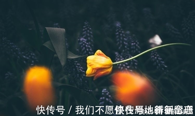 时辰|这些时辰出生的女人，是上等富贵命，一生福气不缺，幸福相随