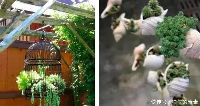 只要脑洞够,万物皆可花盆