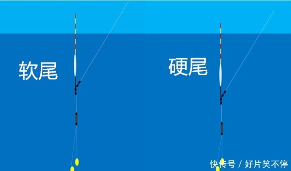 冬季钓鲫鱼,水温低鱼口轻,硬尾浮漂和软尾浮漂,哪种更好用?