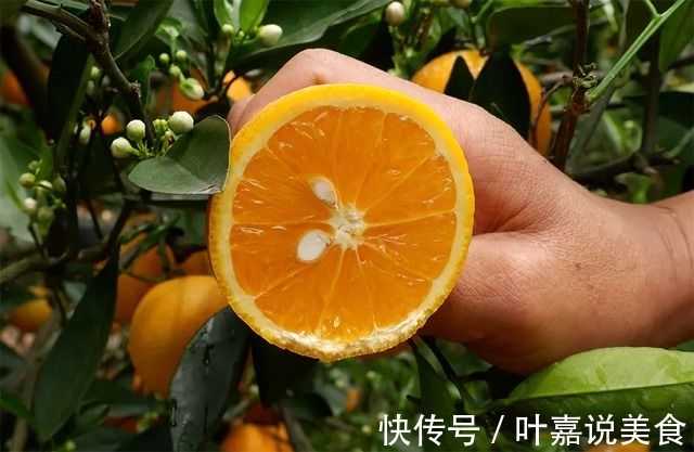 桑葚干|男人一旦过50,烟酒少碰,这些食物可以放开吃,营养极高还不贵