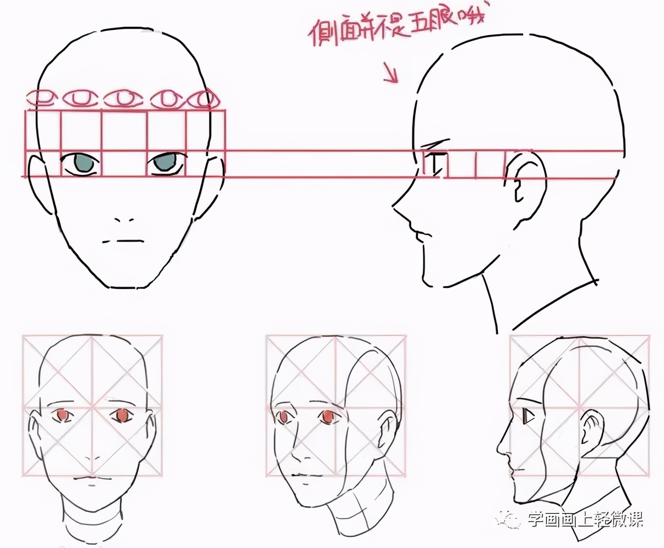 教程|人物头部绘法教程,练起来!