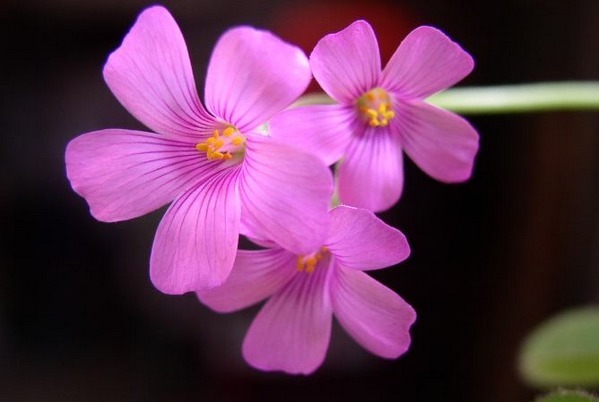 福气|每个晚年有福气的人，都在年轻时做了这四件事，才收获了福报！