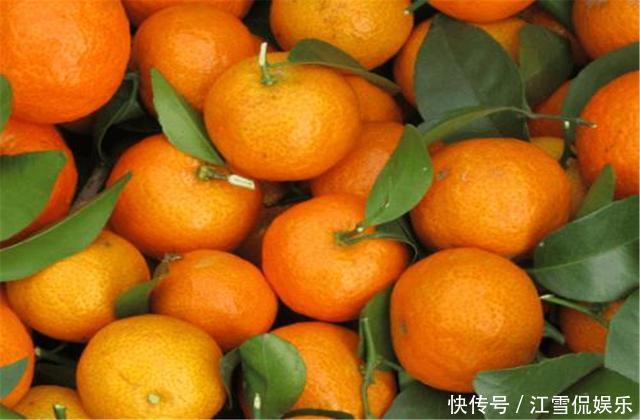 种桔子|“砂糖橘”要怎么挑选教你5个小技巧,下次别再乱买了