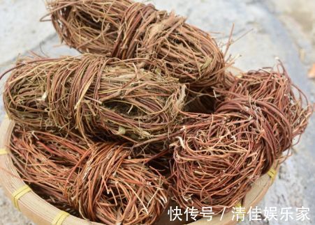 鸡骨草|枸杞三斤不如此物1钱,不仅平肝火,还能补脾虚,堪比“养肝王”