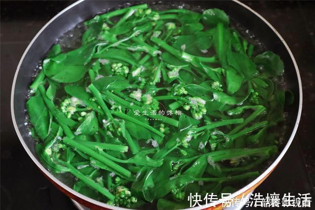 常熬夜就吃这菜，清心下火，通肠道，3元一大捆，难怪大婶抢着买