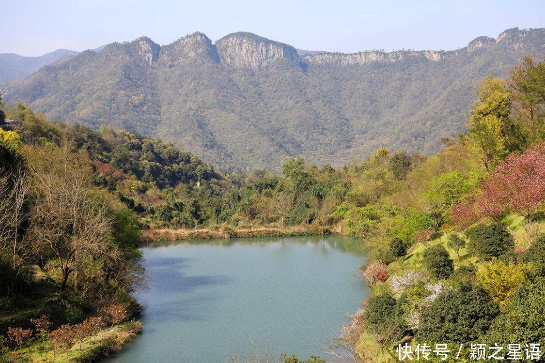 高山村落，樱花盛开，天空之境，天上人间